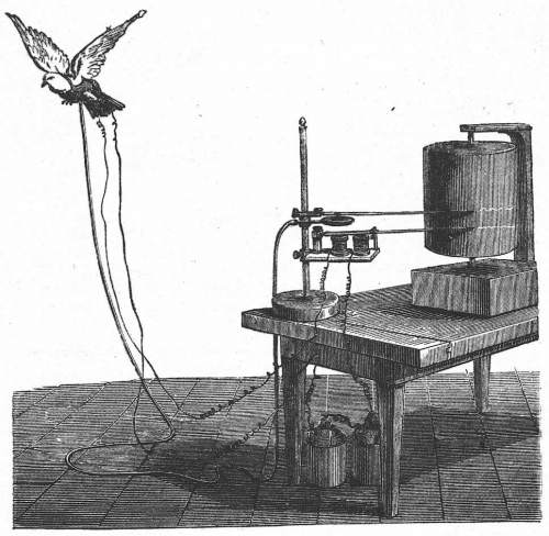 Machine à mesurer le vol d’un oiseau, Étienne-Jules Marey
